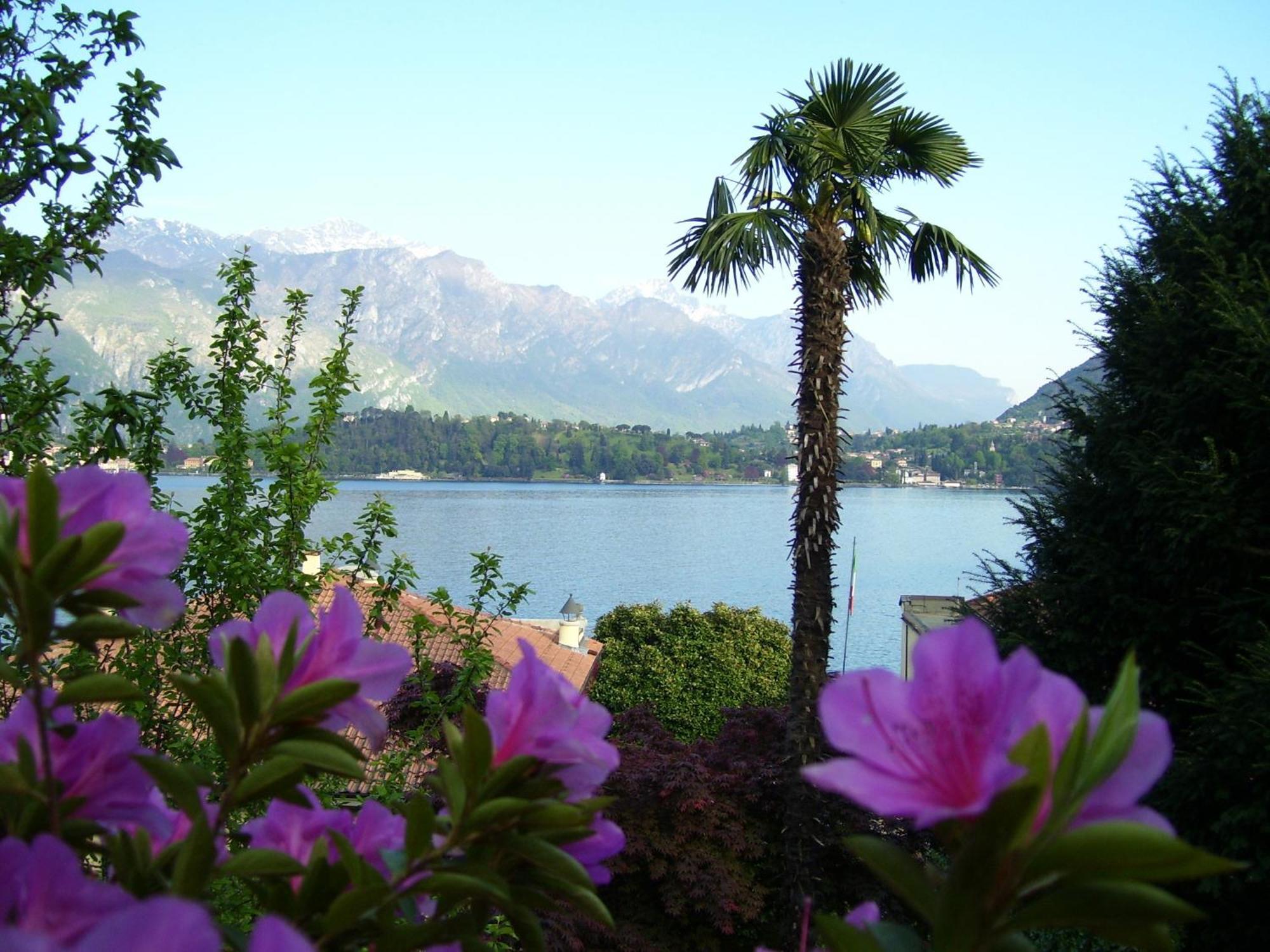 Villa La Mirabella Cadenabbia Екстер'єр фото